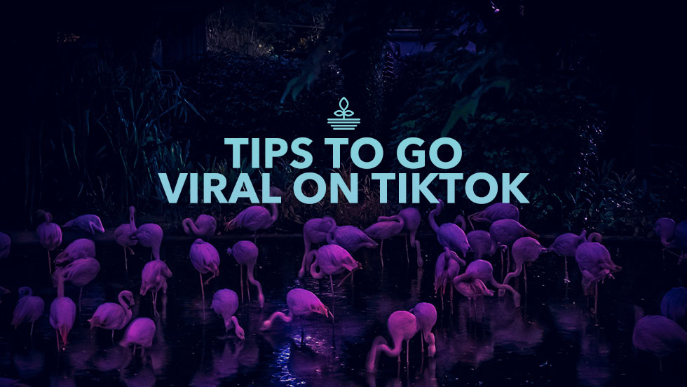 10 Tips to Go Viral on TikTok