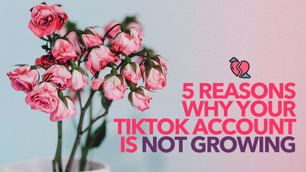 5 Reasons Why Your TikTok Account Is Not Growing