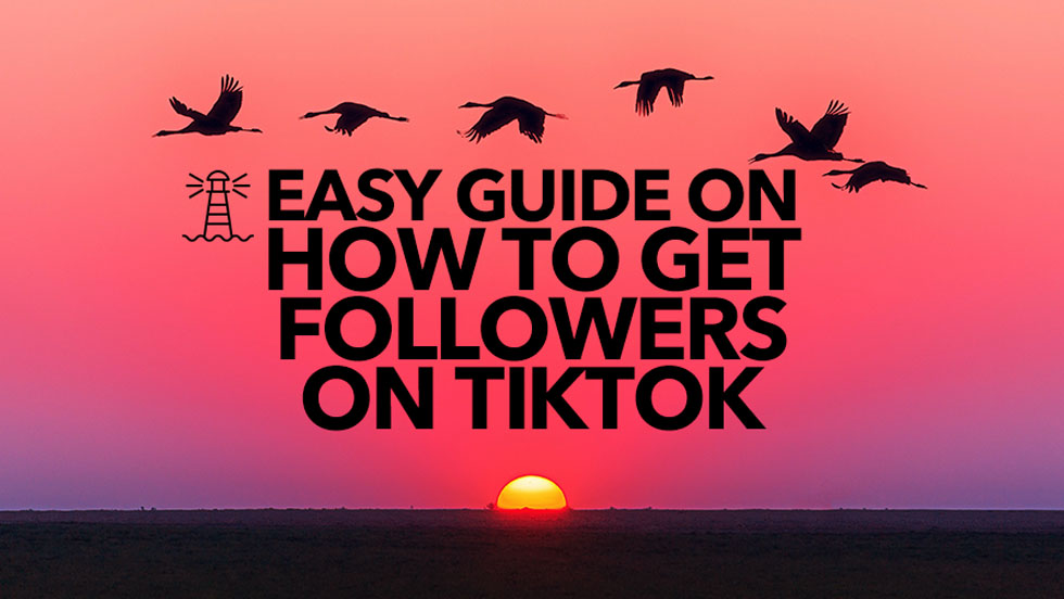 Easy Guide on How to Get Followers on TikTok