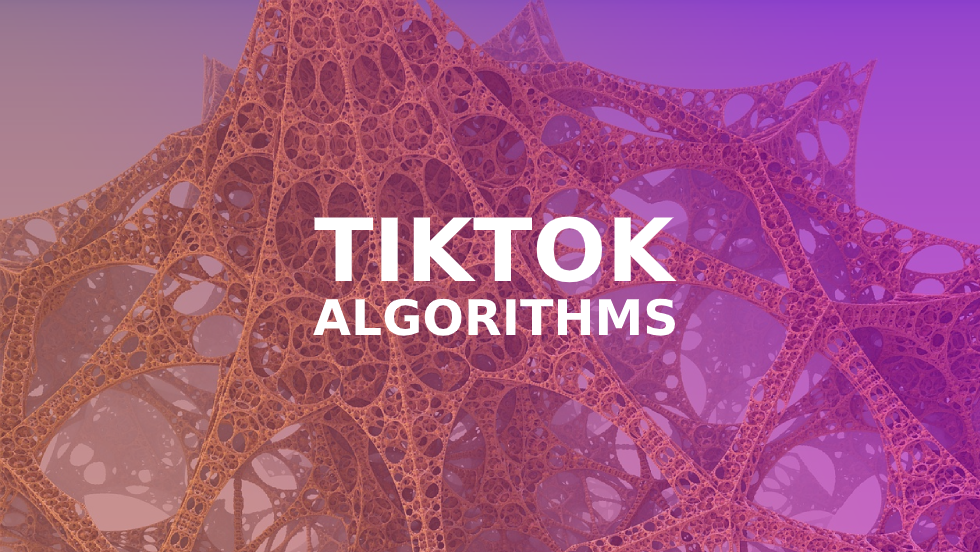 Everything You Should Know About TikTok Algorithm