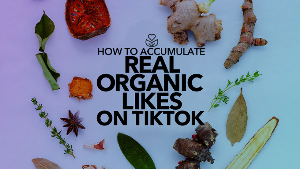 How to Accumulate Real, Organic Likes on TikTok