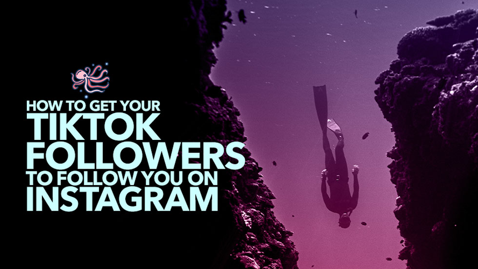 How to Get Your TikTok Audience to Follow You on Instagram