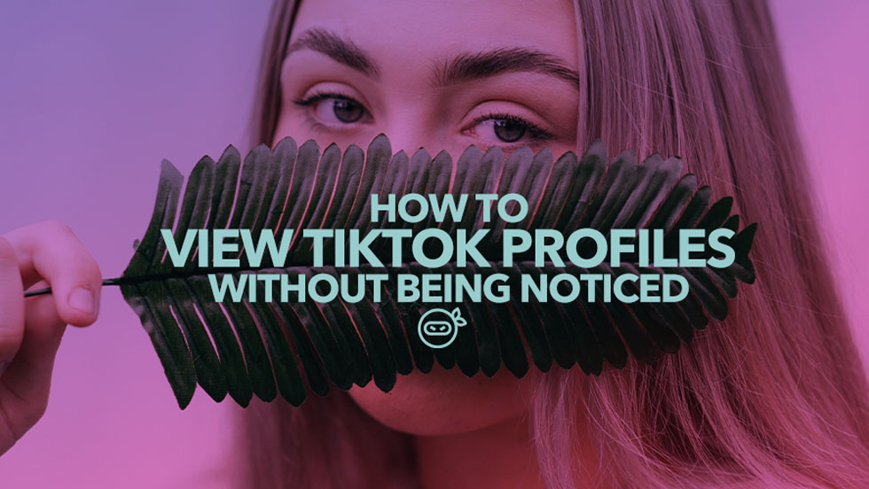 How to View TikTok Profiles Without Being Noticed