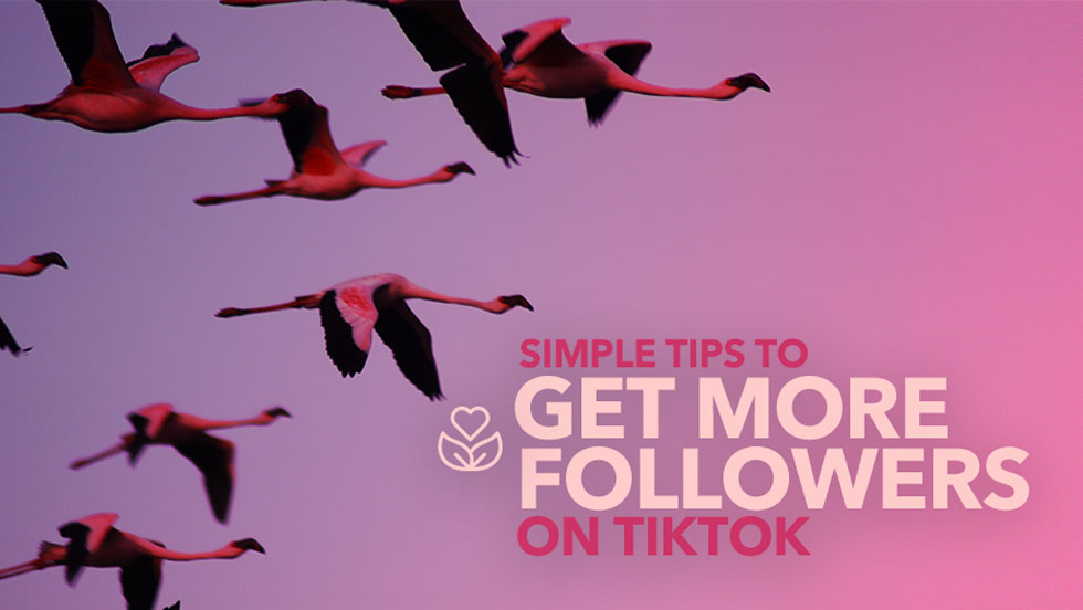Simple Tips to Get More Followers on TikTok