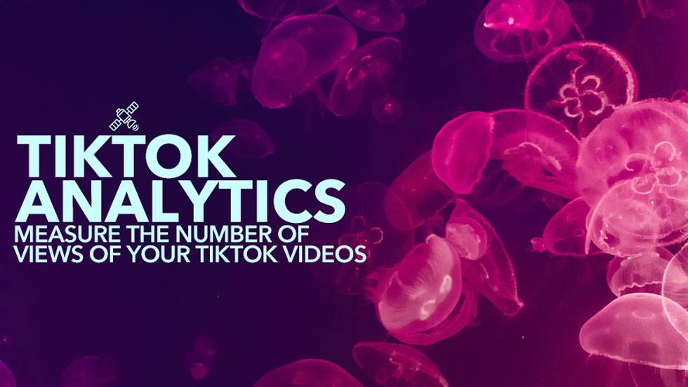 TikTok Analytics: Measure the Number of Views of Your Videos