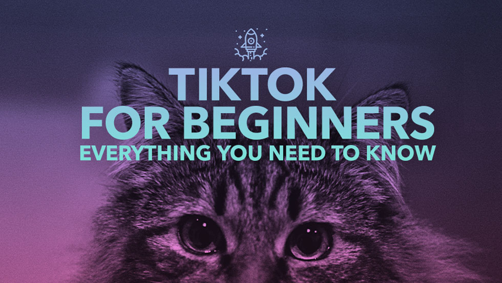 TikTok for Beginners: Everything You Need to Know