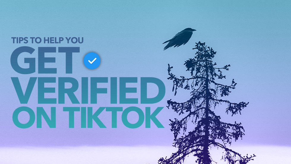Tips to Help You Get Verified on TikTok