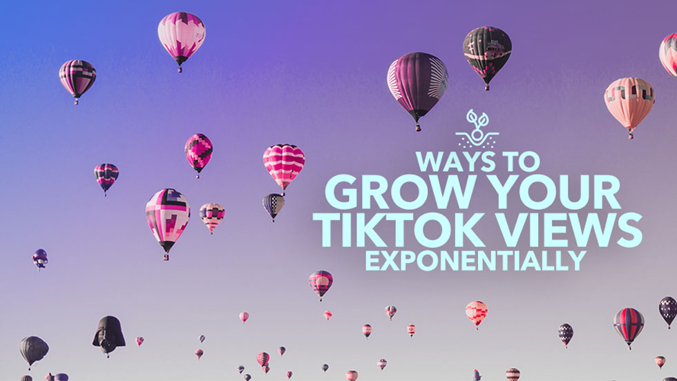 Ways to Grow Your TikTok Views Exponentially
